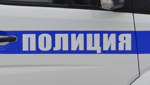 В Топчихинском районе полицейские задержали подозреваемого в незаконной рубке двух берез